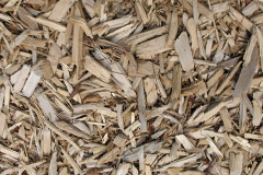 biomass boilers Chivelstone